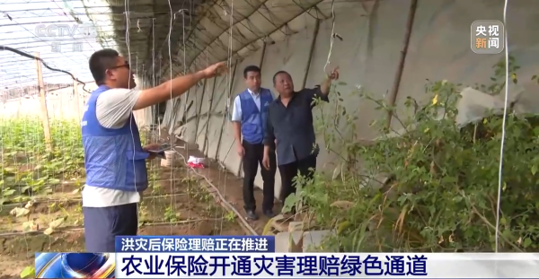 惠红网 车辆涉水如何赔付？车损不同等级怎么鉴定？一文了解