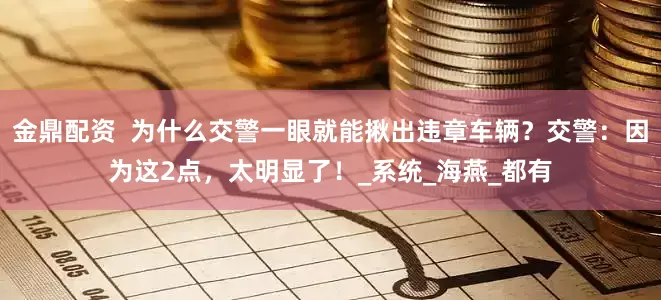 金鼎配资  为什么交警一眼就能揪出违章车辆？交警：因为这2点，太明显了！_系统_海燕_都有