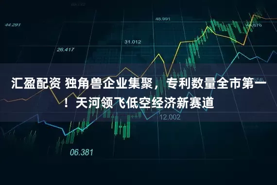 汇盈配资 独角兽企业集聚，专利数量全市第一！天河领飞低空经济新赛道