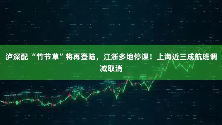 泸深配 “竹节草”将再登陆，江浙多地停课！上海近三成航班调减取消